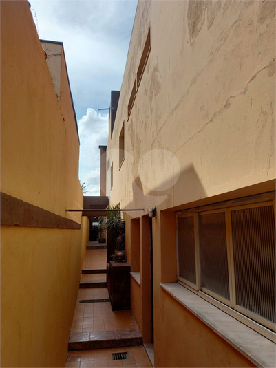 Foto REO608575