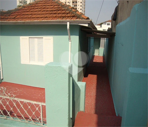 Foto REO608616
