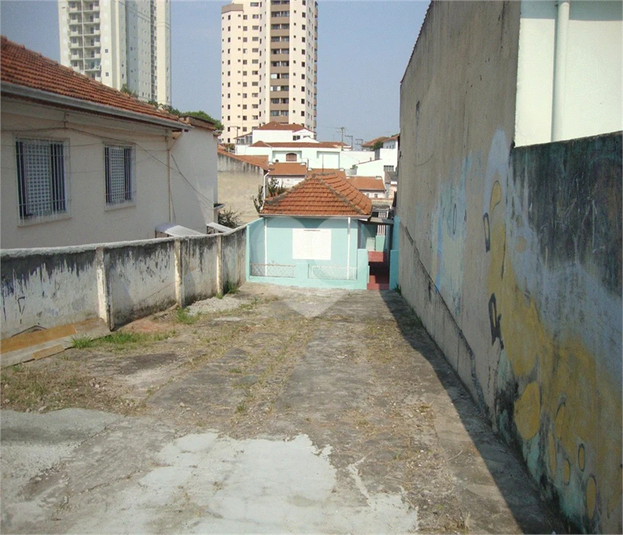 Foto REO608616