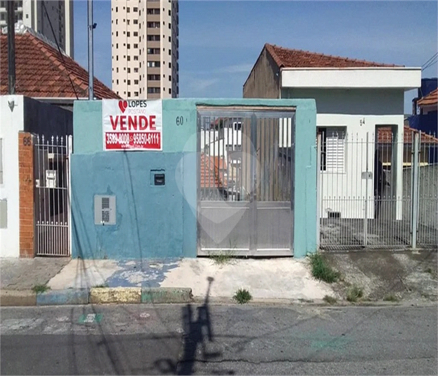 Foto REO608616