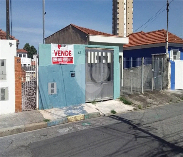 Foto REO608616