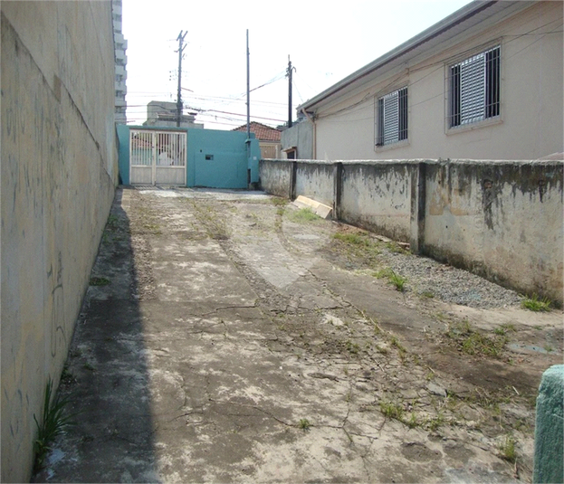Foto REO608616