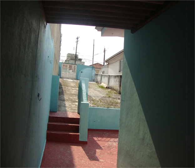 Foto REO608616
