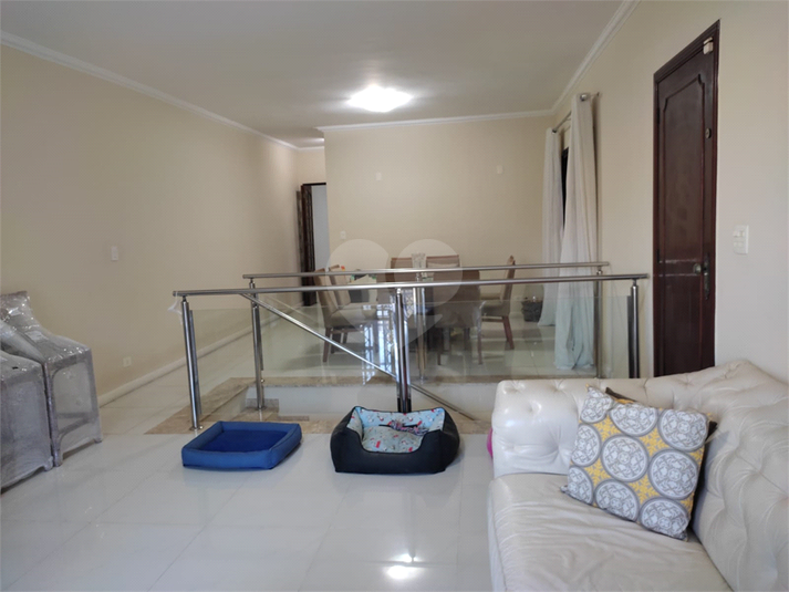 Foto REO608760