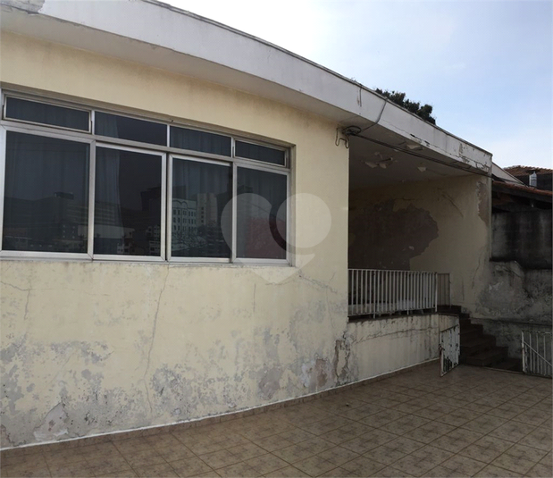 Foto REO608861