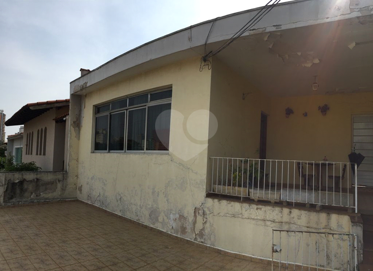 Foto REO608861