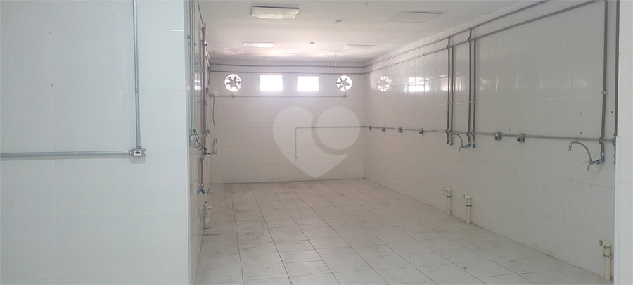 Foto REO60961