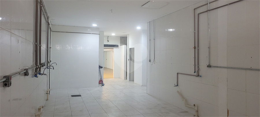 Foto REO60961