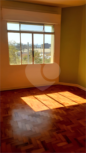 Foto REO609652