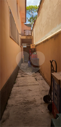 Foto REO60966