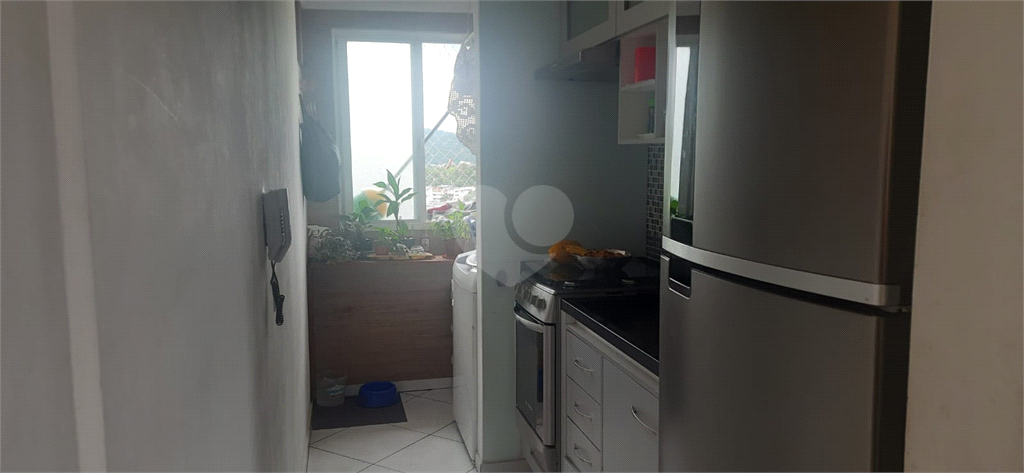 Venda Apartamento São Paulo Jardim Francisco Mendes REO609946 5