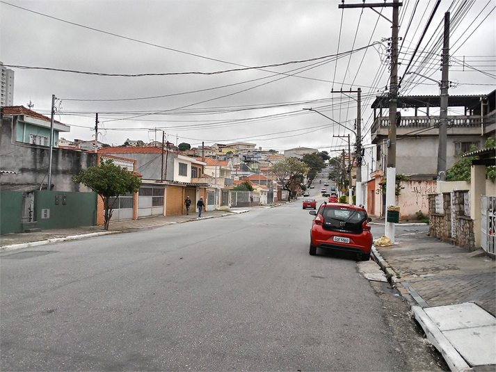 Foto REO610066