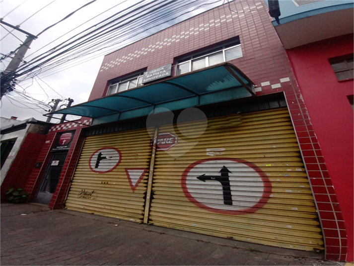 Foto REO610619