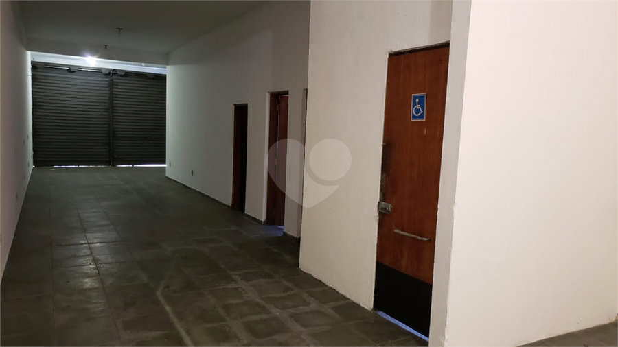 Foto REO610619