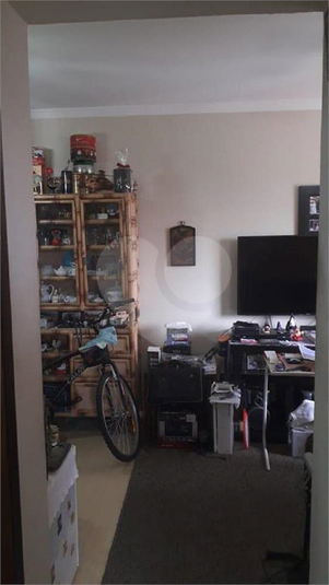 Foto REO610665