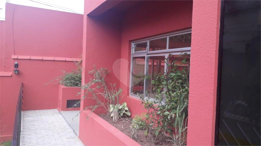 Foto REO610665
