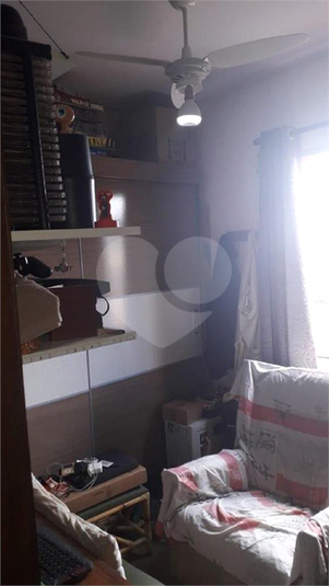 Foto REO610665