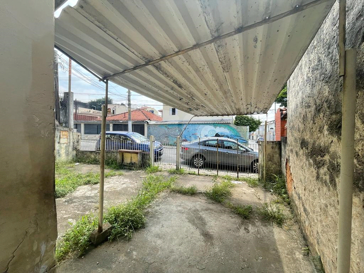 frente