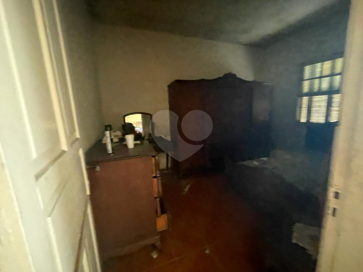 Foto REO610823