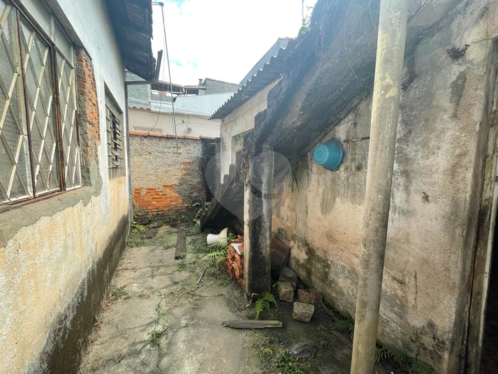 Foto REO610823