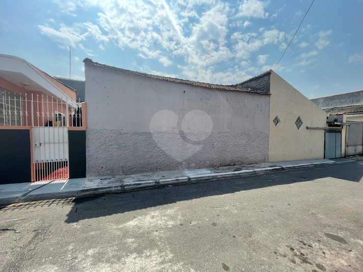 Foto REO610823