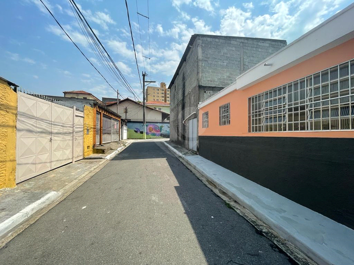 Foto REO610823