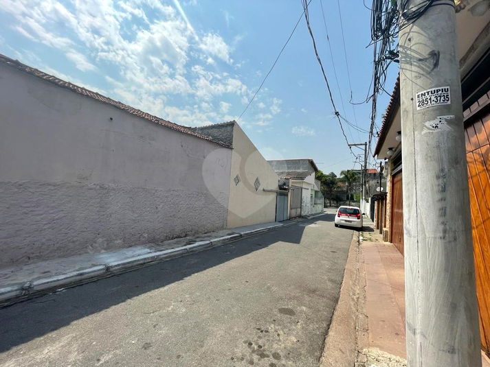 Foto REO610823