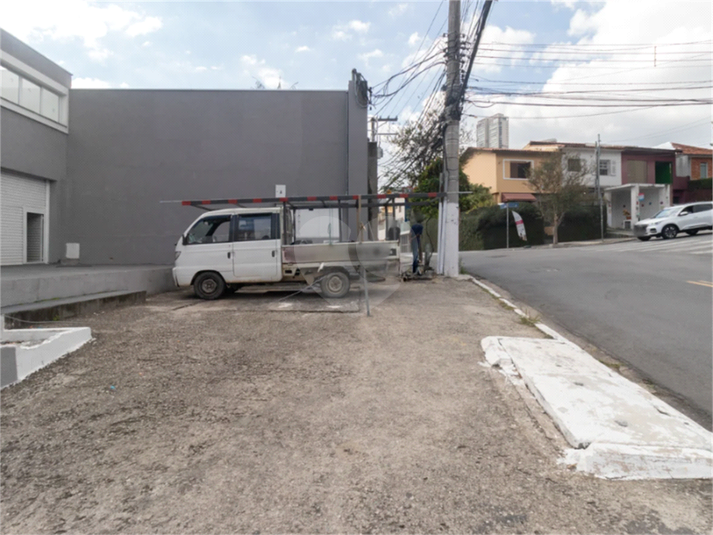 Foto REO611097