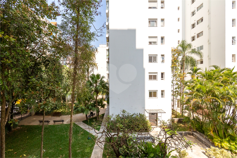 Foto REO611370