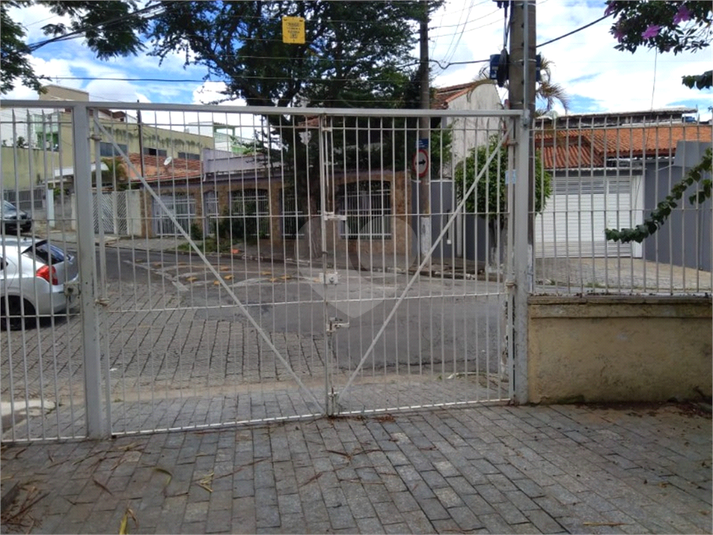 Foto REO611393