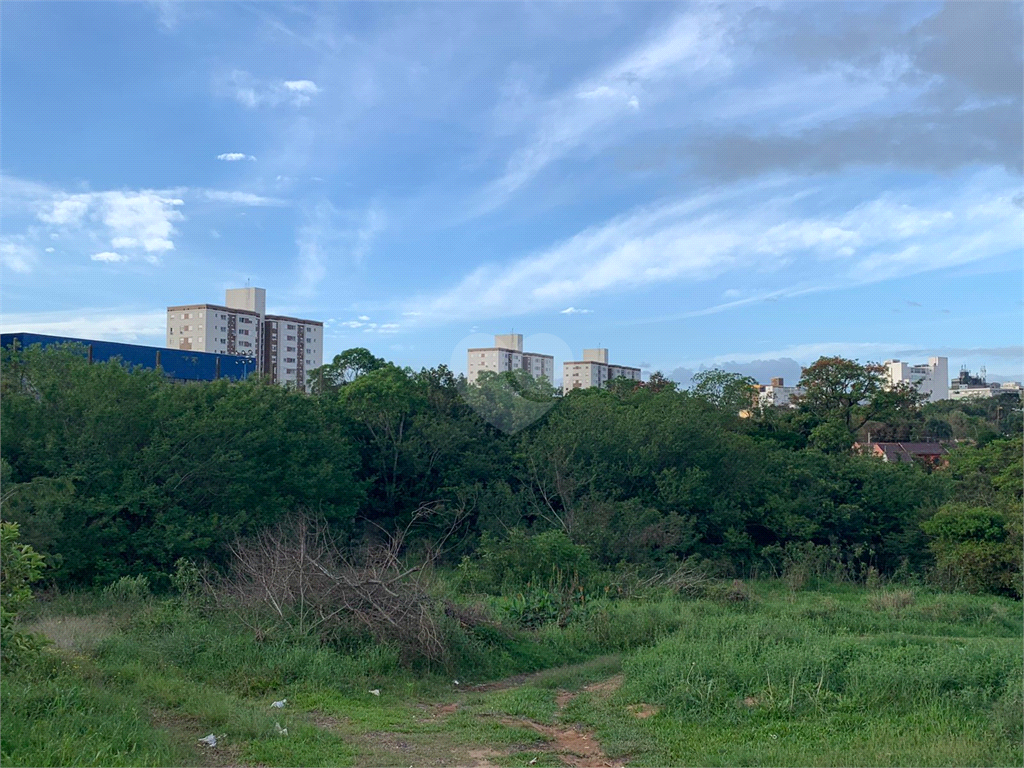 Venda Área de Terra Gravataí Passo Das Pedras REO611603 7