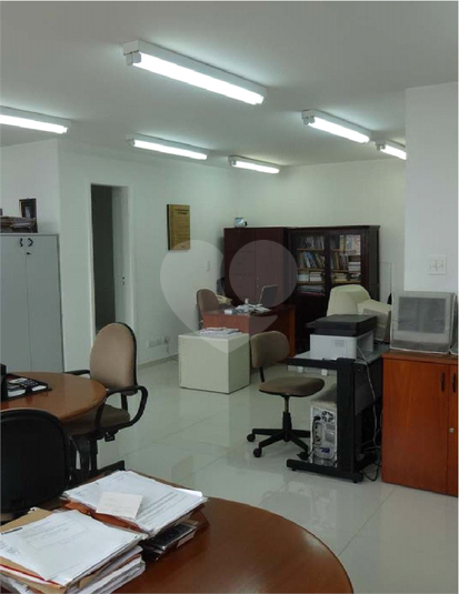 Foto REO612267