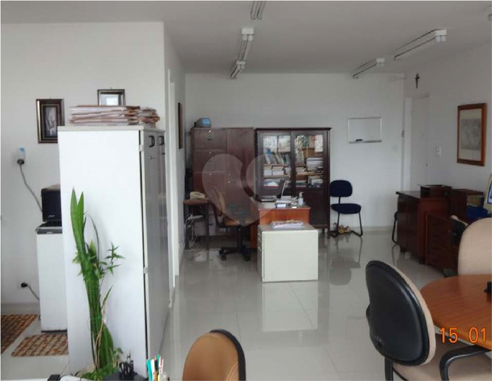 Foto REO612267