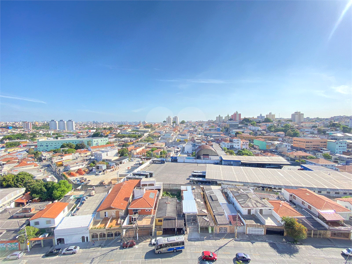 Foto REO612495