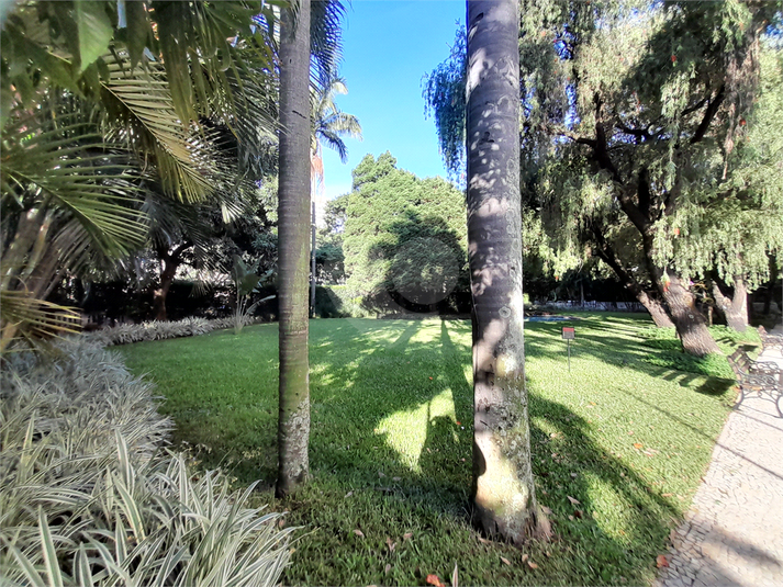 Foto REO612622