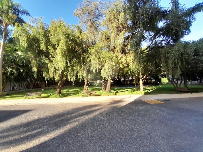 Foto REO612622