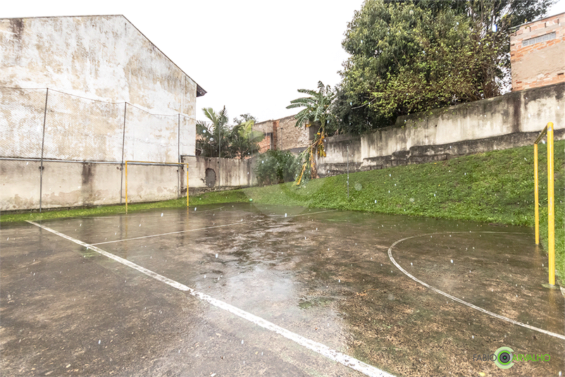 Foto REO613462