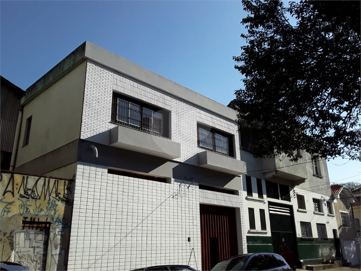 Foto REO61349