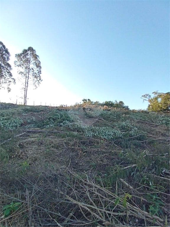 Venda Sítio Pilar Do Sul Campo Grande REO613589 8