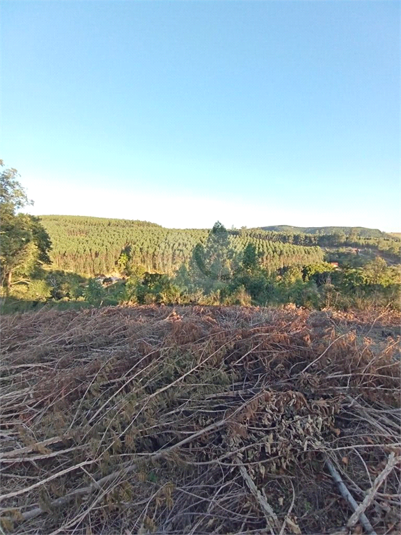 Venda Sítio Pilar Do Sul Campo Grande REO613589 13