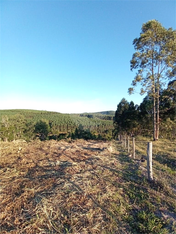 Venda Sítio Pilar Do Sul Campo Grande REO613589 10