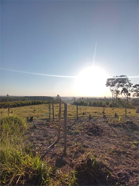 Venda Sítio Pilar Do Sul Campo Grande REO613589 18