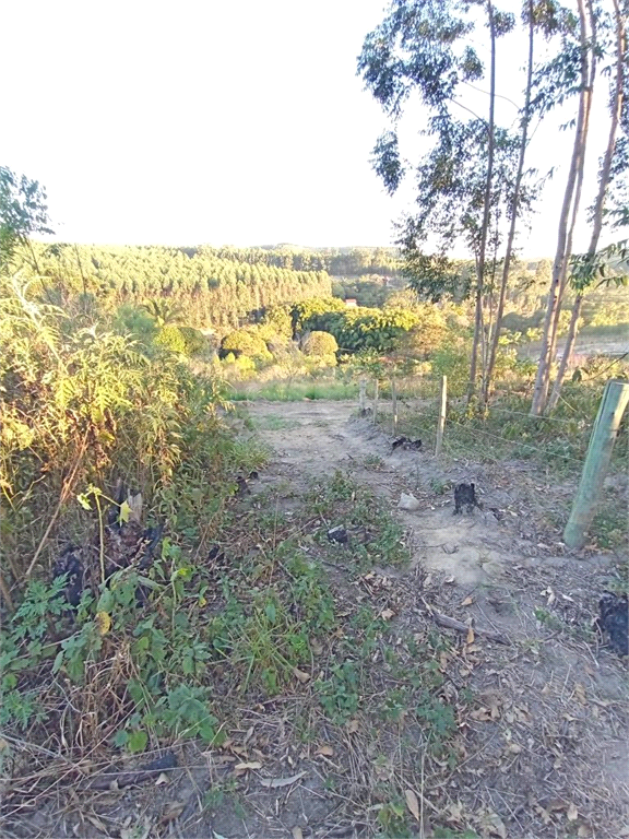 Venda Sítio Pilar Do Sul Campo Grande REO613589 3