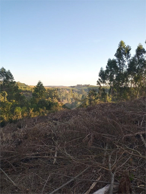 Venda Sítio Pilar Do Sul Campo Grande REO613589 12