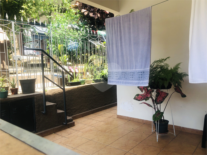 Foto REO613767