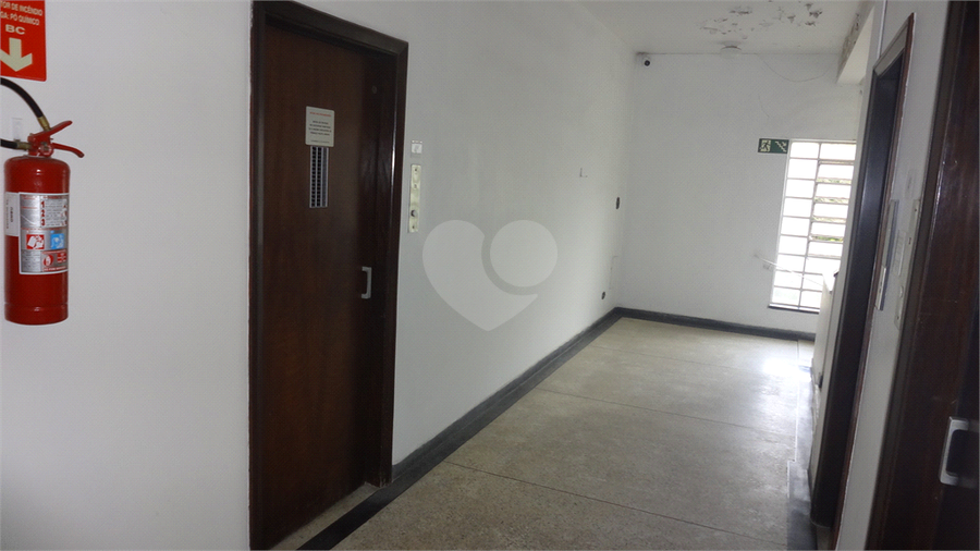 Foto REO613817