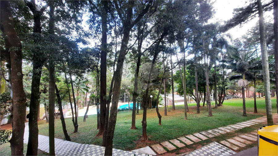 Foto REO614121