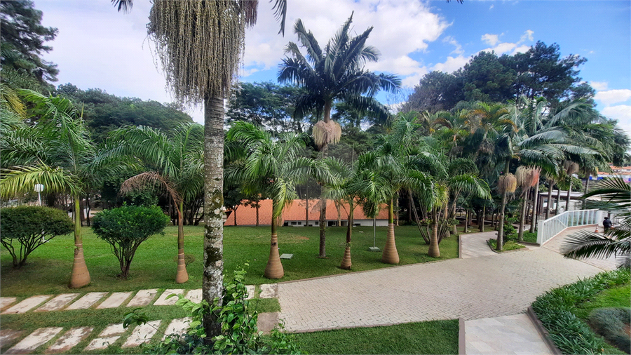Foto REO614121