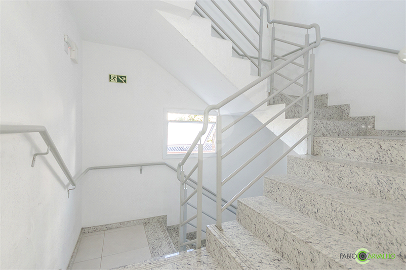 Foto REO614226