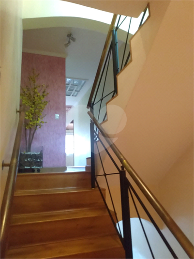 Foto REO614819